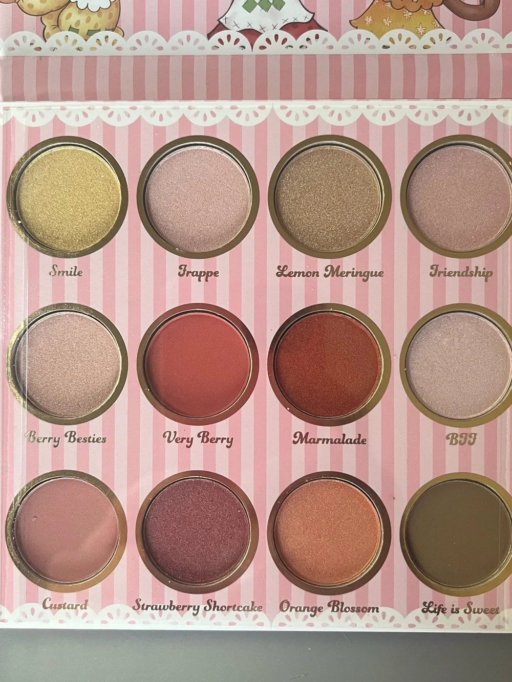 Strawberry Shortcake Eyeshadow Palette - 12 Shade Women Makeup- NIB